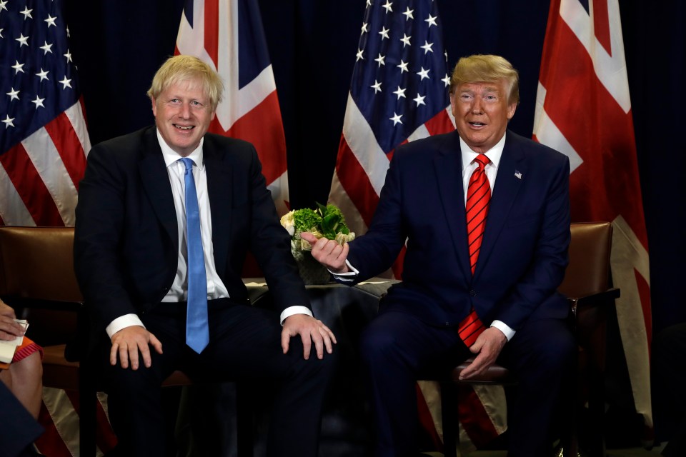 The world was safer and more stable with Donald Trump in the White House, said Boris Johnson