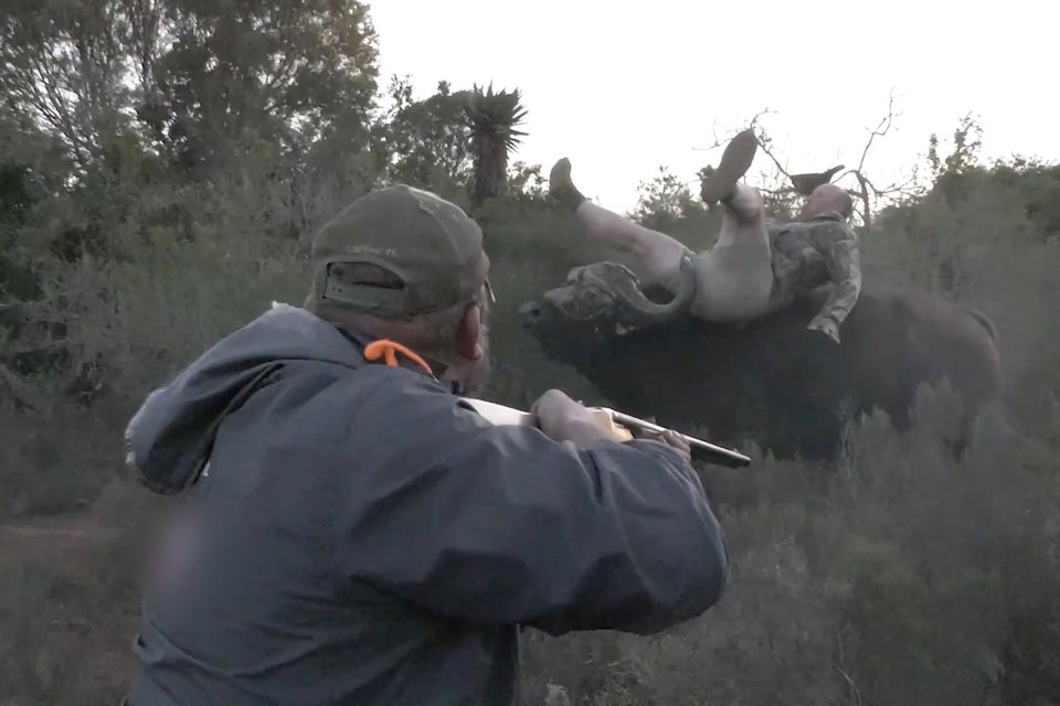 Shocking footage shows the buffalo throw the man in the air