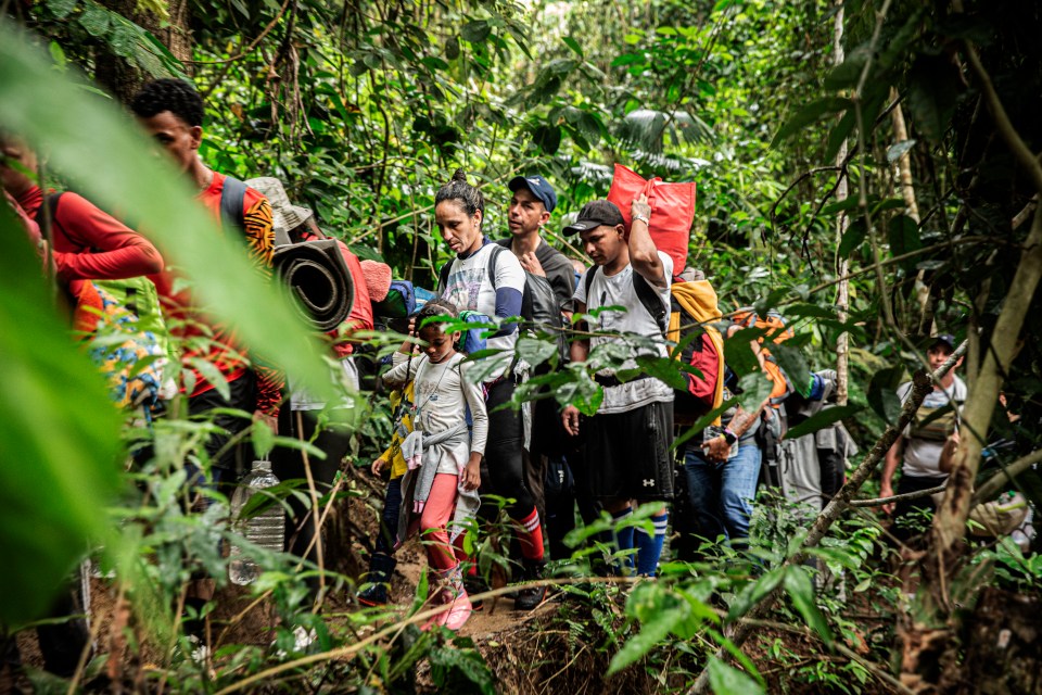 Large groups including families with children are often exposed to horrors inside the jungle