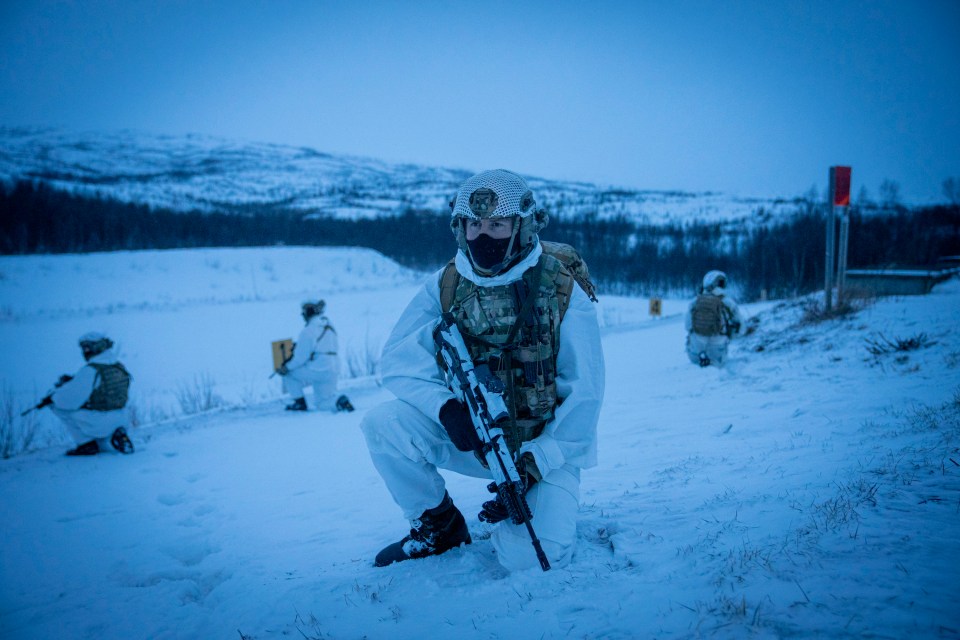 Royal Marines taking part in training in Norway as Steadfast Defender kicks off