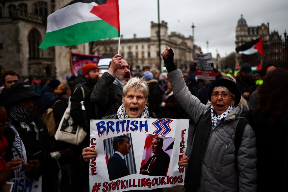 Protesters wave Palestinian flags and placards in Parliament Square