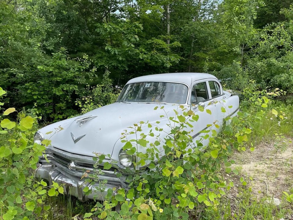 While many are rusted, some of the cars are in the very good condition