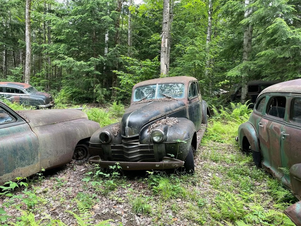 The vintage cars can be found in varying conditions