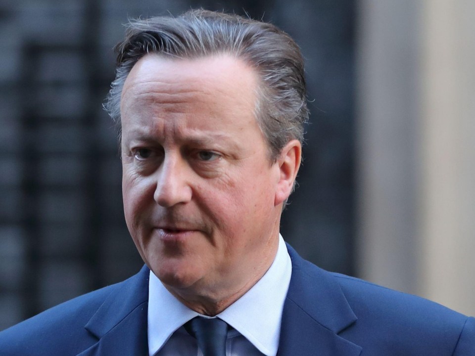 Lord Cameron has spoken of the need to support Ukraine’s defence until Russia is repelled