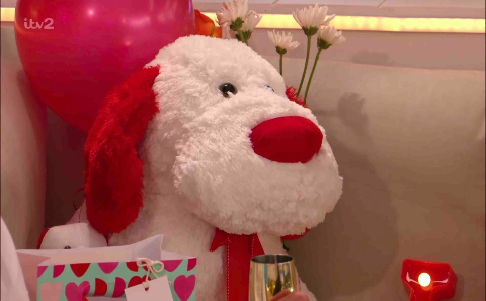 Tom surprised Molly with a toy dog for Valentine's Day