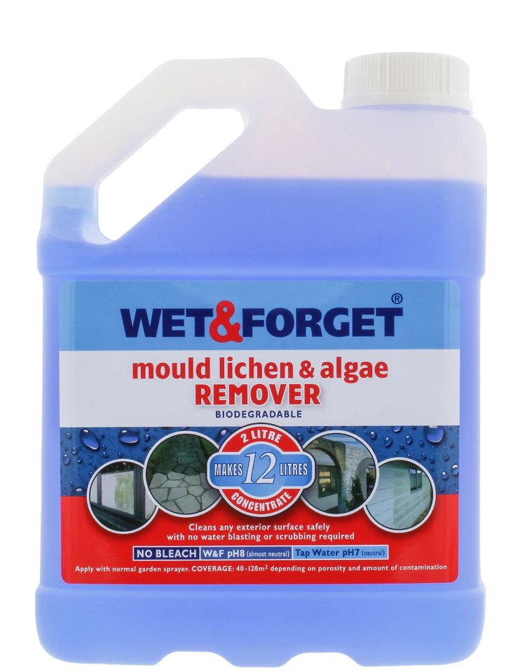 Many were raving about Wet & Forget, which you can bag from B&Q and gardening centres