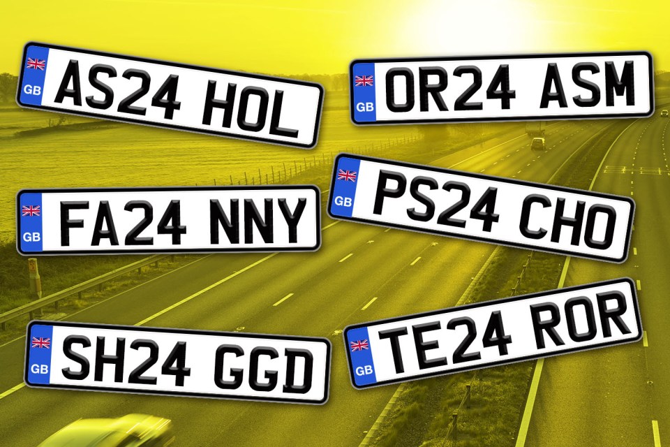 The DVLA has revealed this year's list of banned number plates