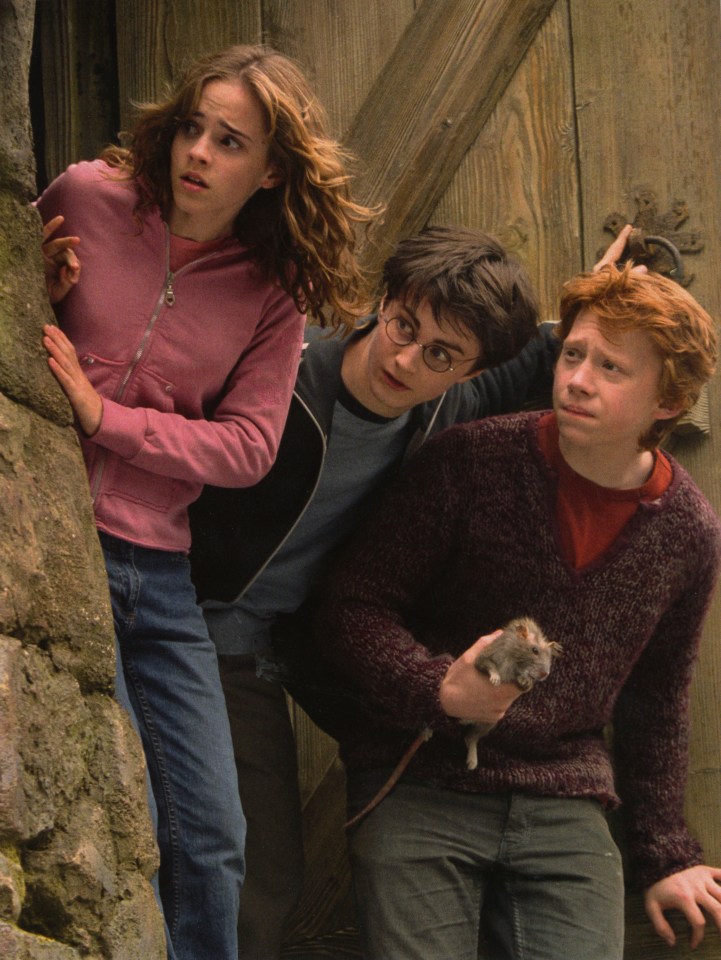 The actress famously starred alongside Daniel Radcliffe and Rupert Grint in Harry Potter