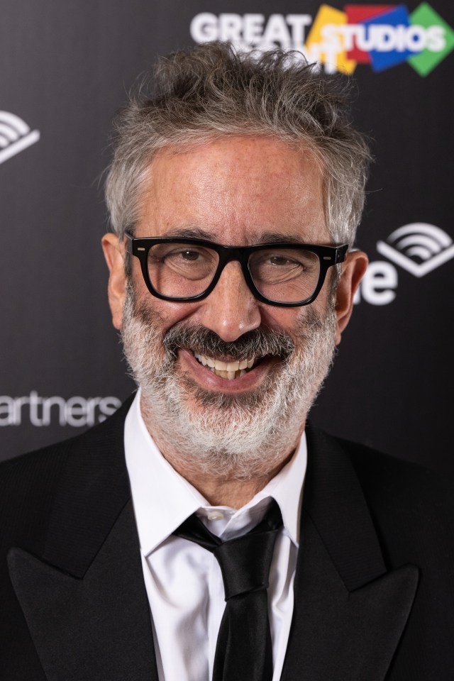 David Baddiel has revealed the amount his song Three Lions has made via Spotify streams