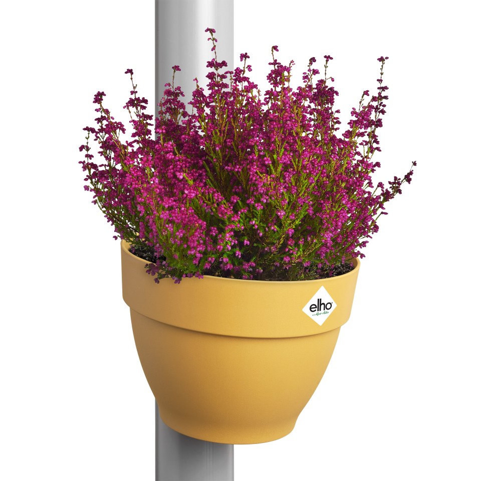 Elho's pots click onto your drainpipe, so a perfect space saver filled with blooms