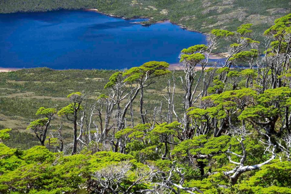 The Island has wildlife unchanged for thousands of years