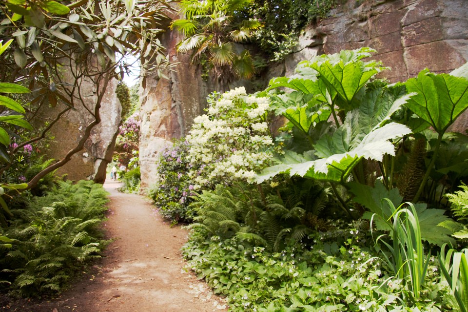 The gardens at Belsay Hall have been compared to scenes from Jurassic Park