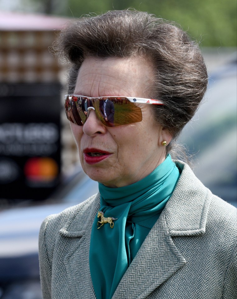 Princess Anne and her go-to sports sunglasses.