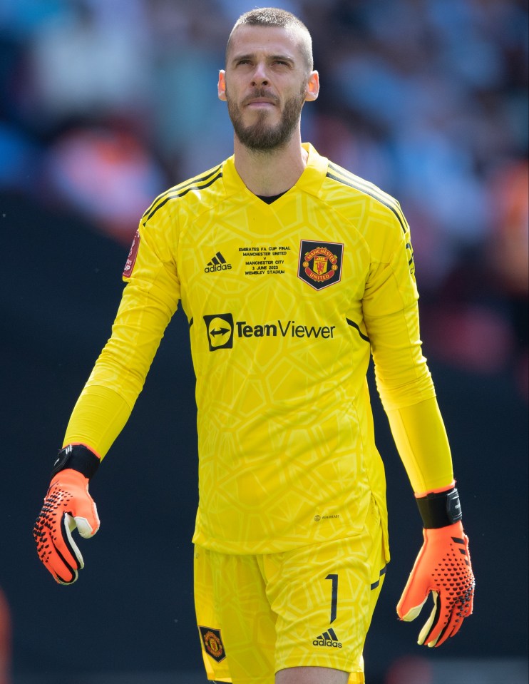 David de Gea is understood to be waiting for a return in Spanish football