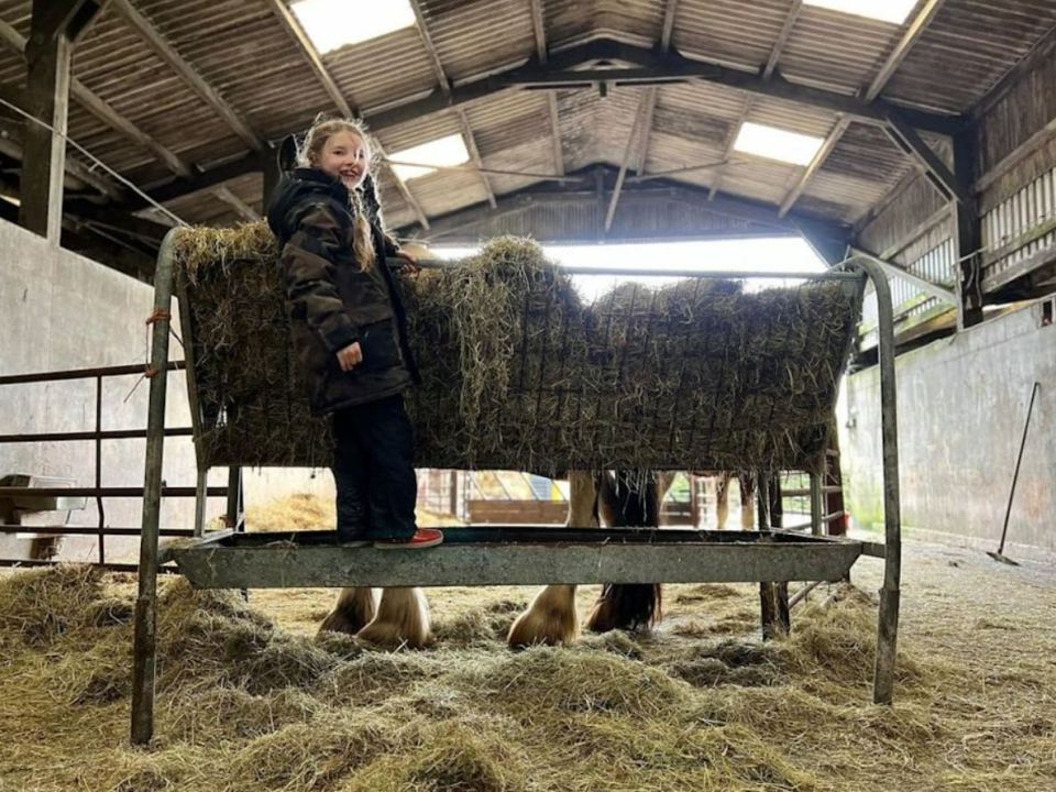 7-year-old Clemmy fed hay to the family's horses