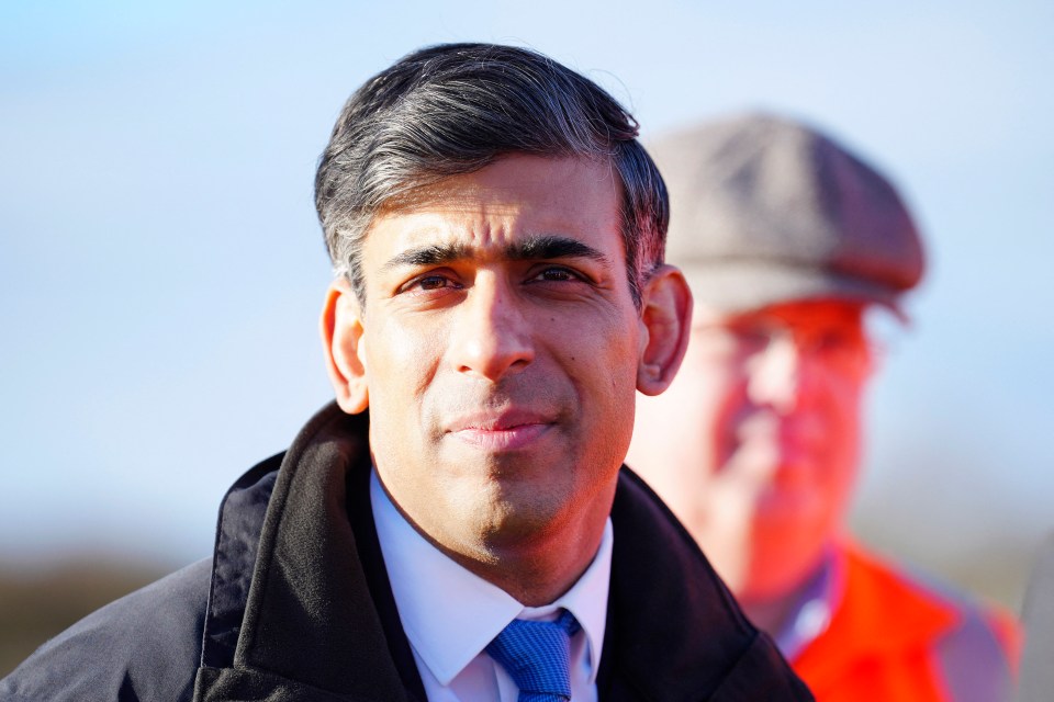 Prime Minister Rishi Sunak slammed Lee Anderson’s comments as ‘not acceptable’