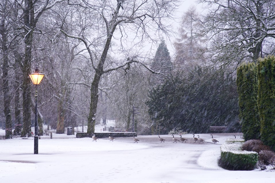 Pavilion Gardens in Buxton, Peak District, covered in snow on Thursday