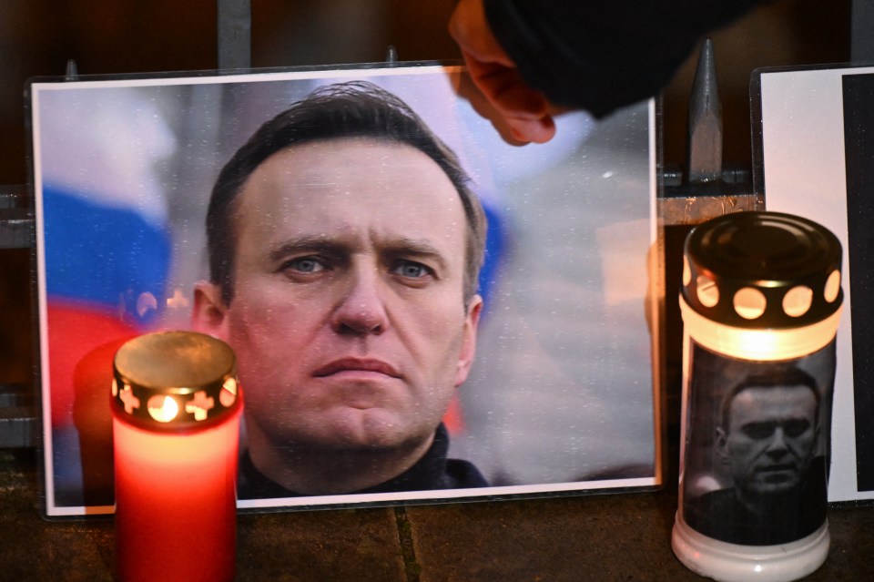 Alexei Navalny died last week inside a Siberian jail with new reports he was killed by a 'single punch to the heart'