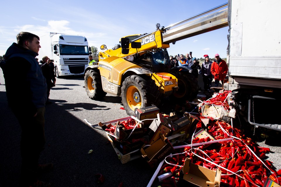 Catalonian farmers blocked the AP7 near France and destroyed fruits and vegetables