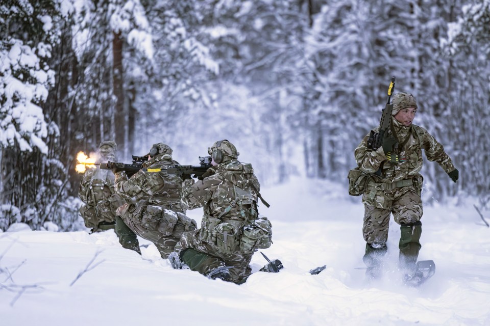 Royal Marines were among those put through a brutal week of training during which they were taught to escape after falling into a frozen lake or river.