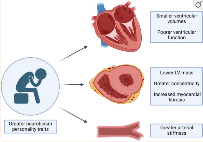 Having neurotic personality traits can age your heart faster, according to new research