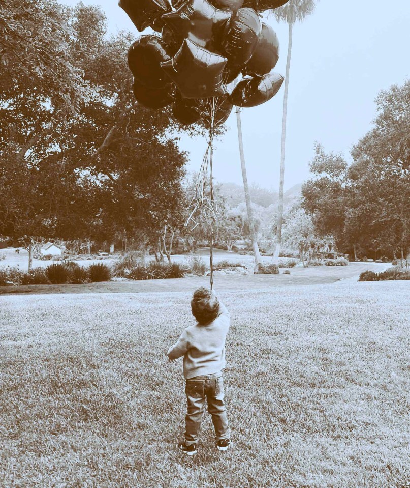 We got a glimpse of their beautiful garden in this photo released for Archie's second birthday