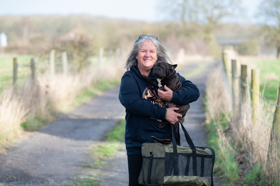 Meg retired as an NHS professional to find a career in a dog courier service