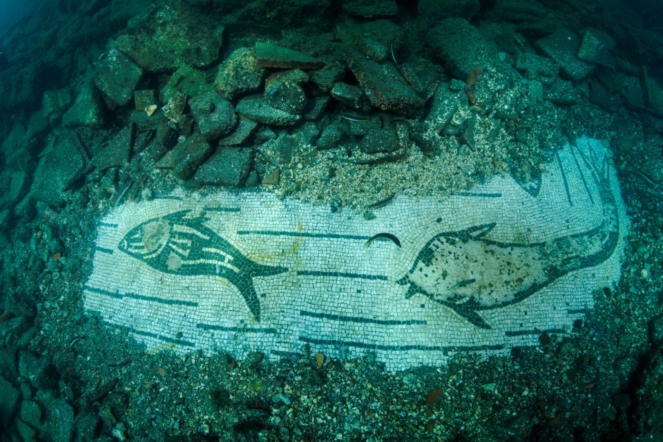 Beautiful mosaic pieces cover the seabed