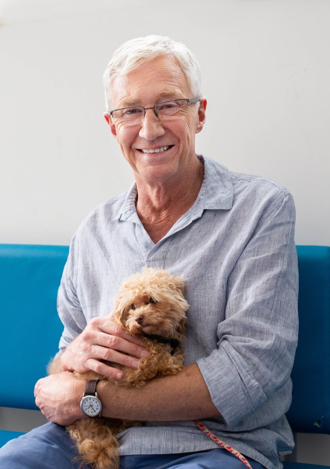 Editorial use only Mandatory Credit: Photo by ITV/Shutterstock (9972241c) Paul O’Grady with Battersea’s smallest resident, 9 month old teacup poodle Charlie, is having trouble running with her broken leg. ‘Paul O Grady’s For the Love of Dogs’ TV Show, Series 7, Episode 5 UK – 27 Nov 2018 Paul O’Grady: For The Love Of Dogs, […]