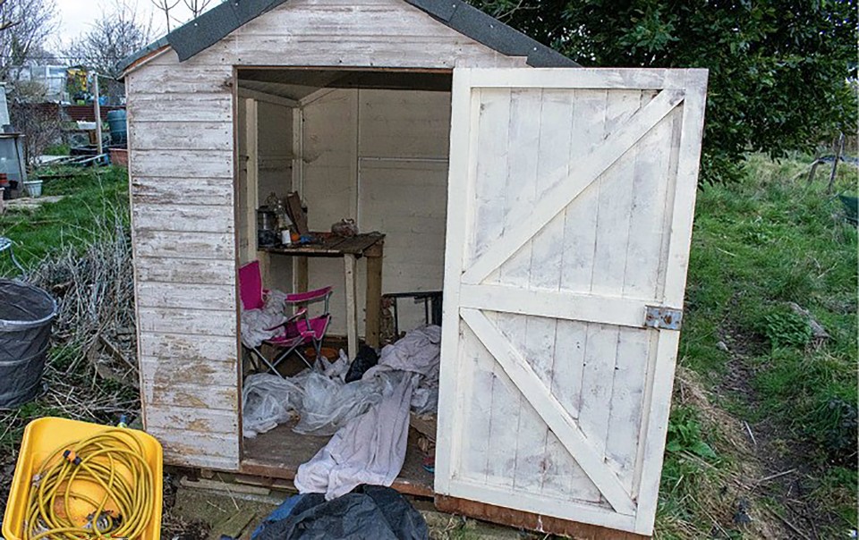 The remains of newborn Victoria were found in a disused shed in Brighton