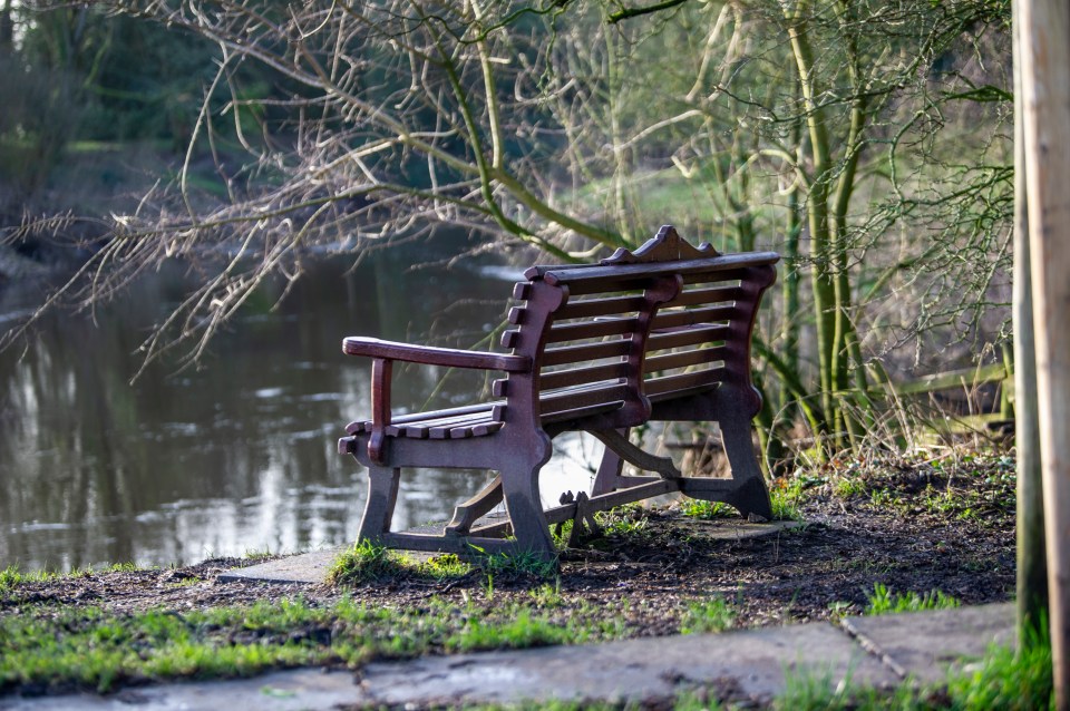 The bench where Nicola went into the water