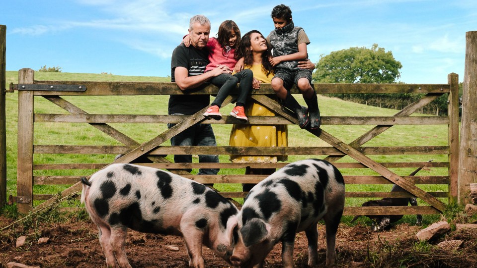 Drovers Rest Farm in Golden Valley has a play area, hands-on farm trail and educational guided safaris during half-term