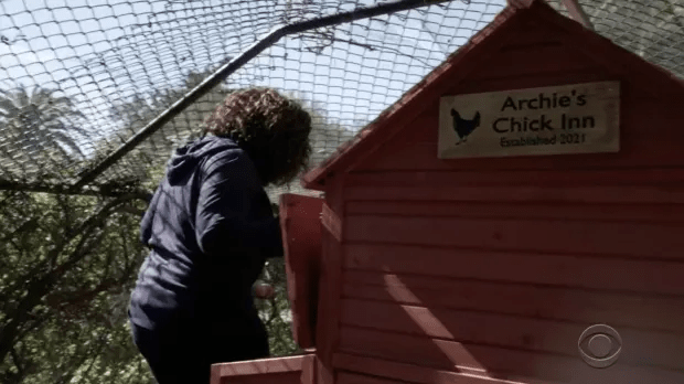 They've added a chicken coop to the garden with a hut called 'Archie's Chick Inn'