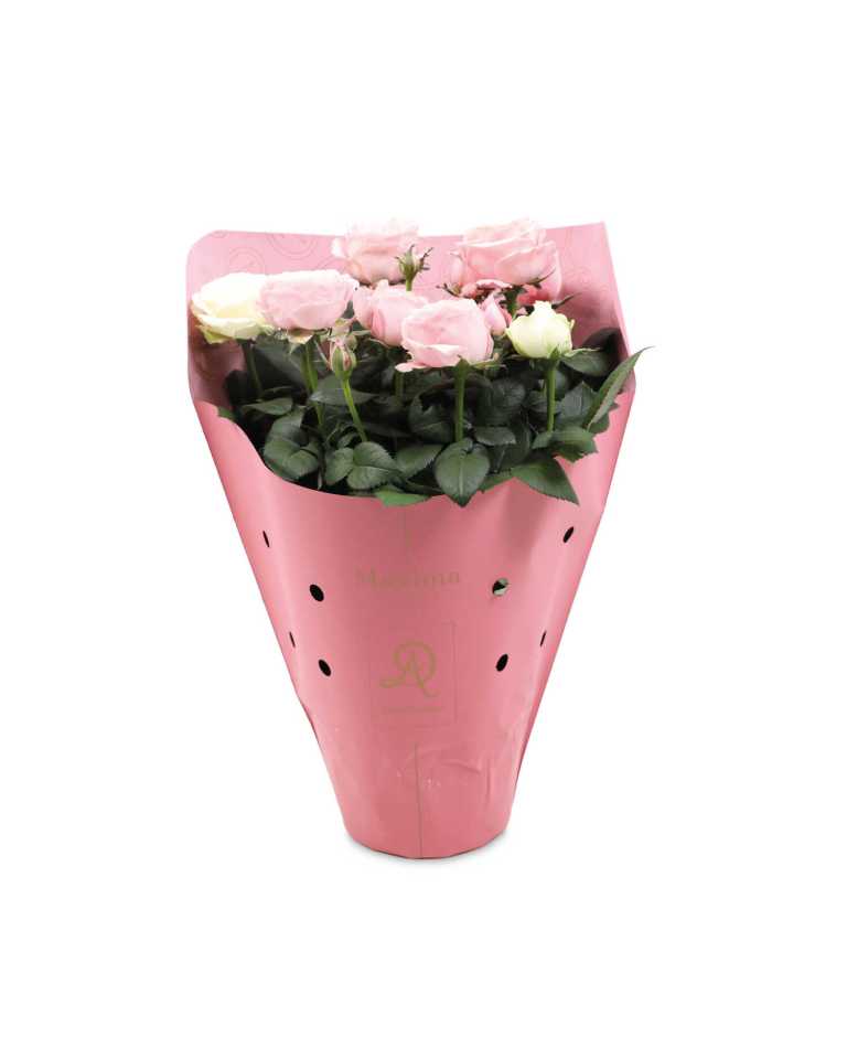 These flowers are bound to make your loved one smile