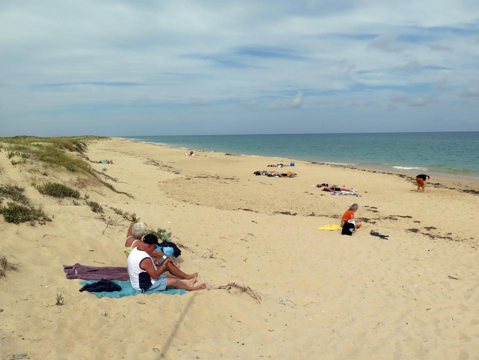 Culatra is a Blue Flag beach, and you won't see many people