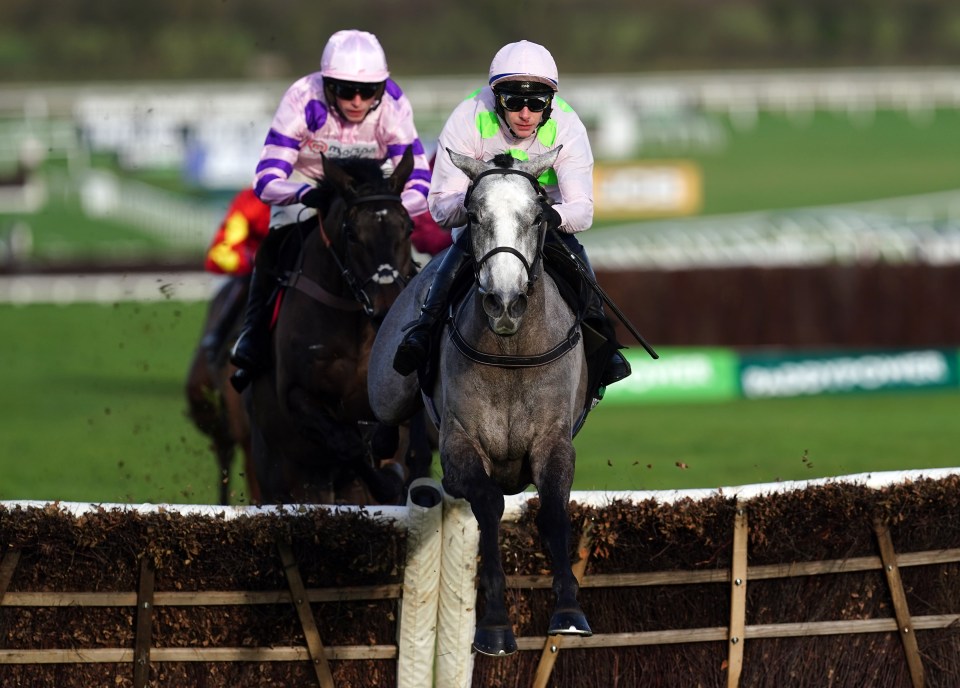 Lossiemouth is hot favourite for the Mares' Hurdle