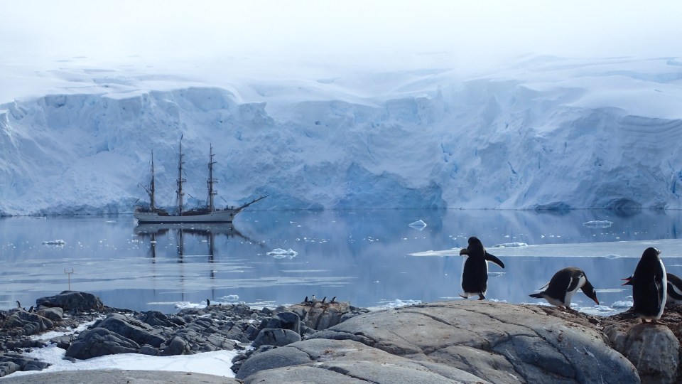 The UK Antarctic Heritage Trust needs people to work at Base A, Port Lockroy, Antarctica