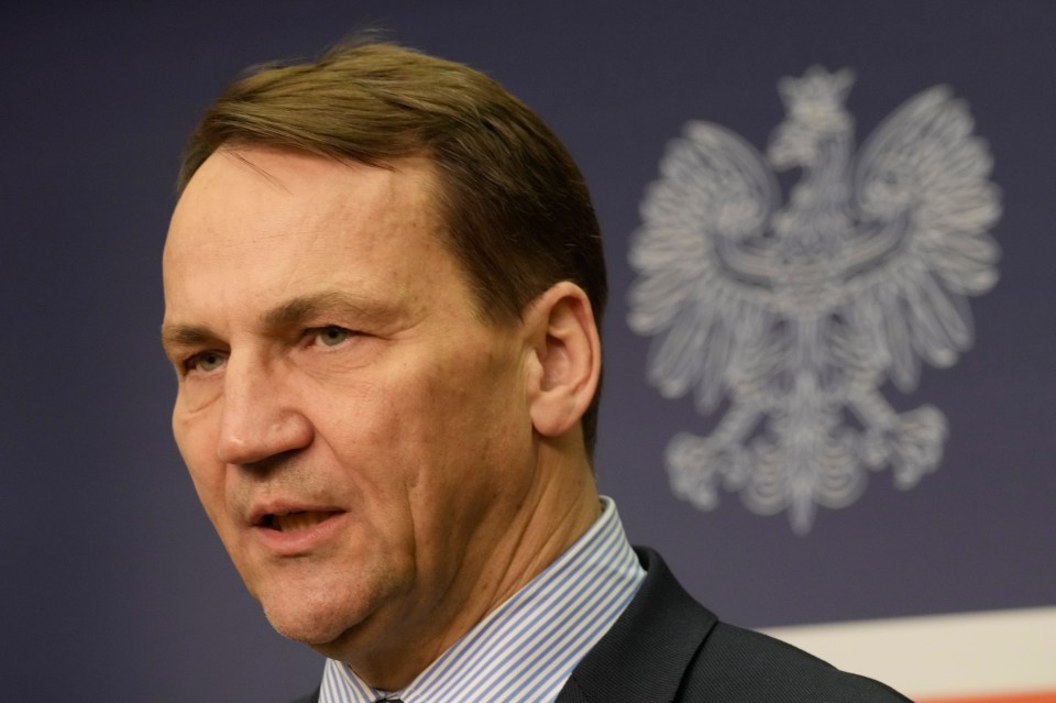 Poland's Foreign Secretary Radek Sikorski