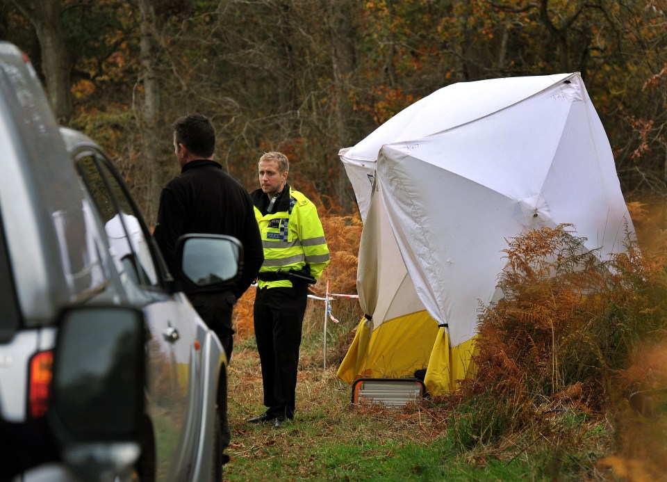 Officers believe had Brown not revealed where he buried Joanna, she might never have been found