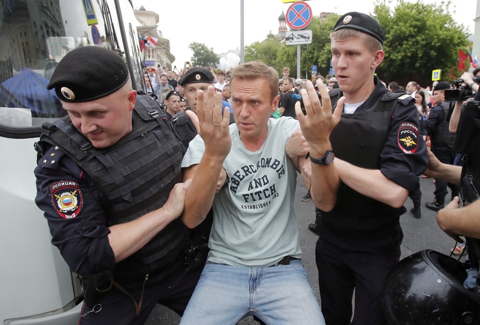 Policemen detain Navalny at a rally in support of investigative journalist Ivan Golunov