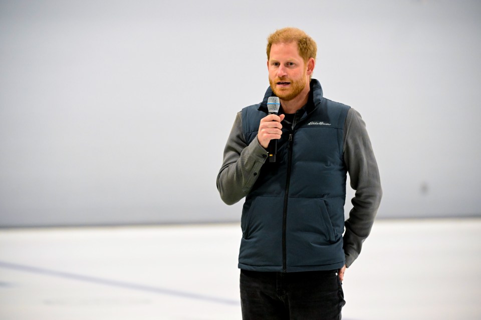 The prince addressed the crowds - thanking them for their hospitality