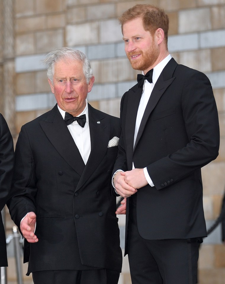 Prince Harry and King Charles may meet again soon