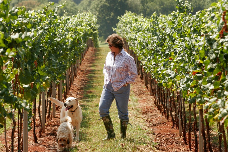 Patricia used her settlement money to buy a vineyard and created the Kluge wine estate, which was estimated to be worth £50million