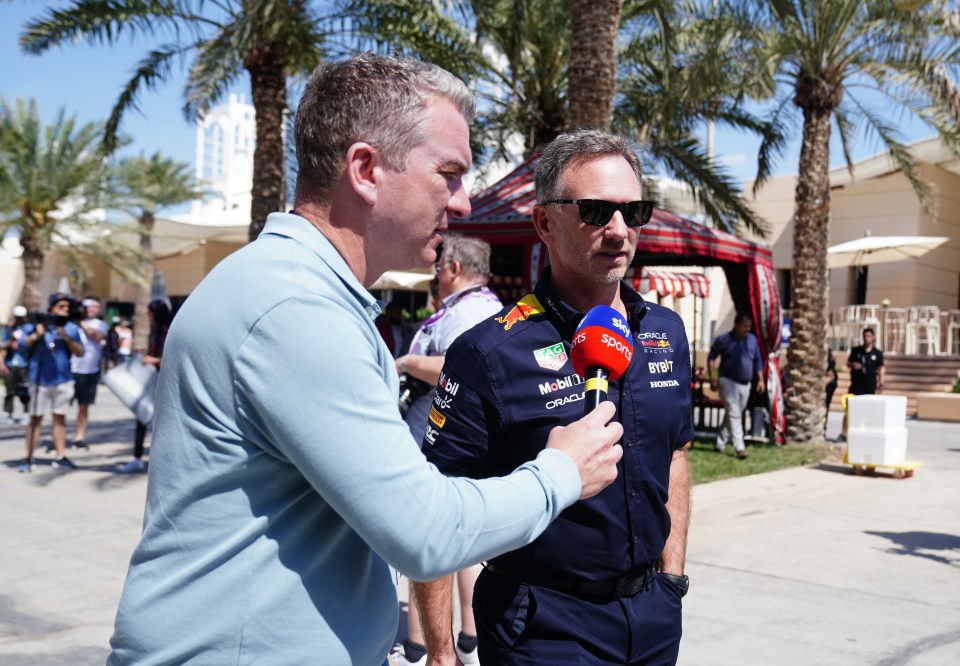 Christian Horner told a reporter today he was 'pleased' the investigation had been concluded