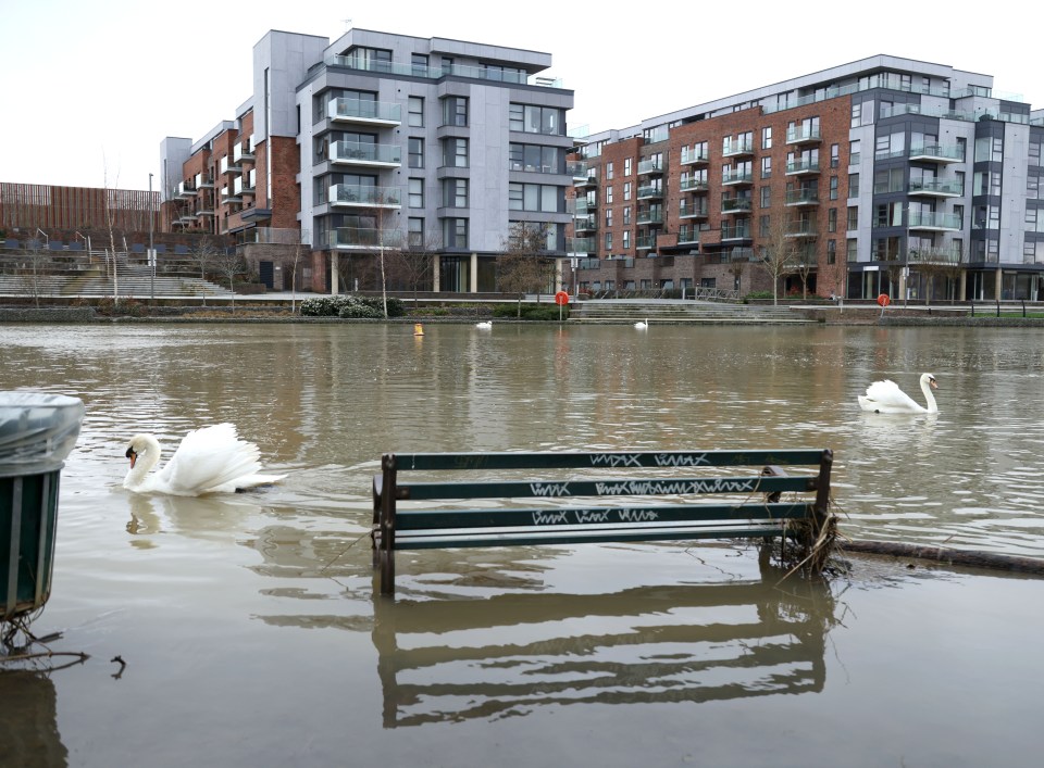 The River Nene burst its banks in Peterborough, Cambs, on Saturday