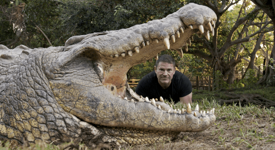 Steve Backshall says a crocodile tried to eat his cameraman