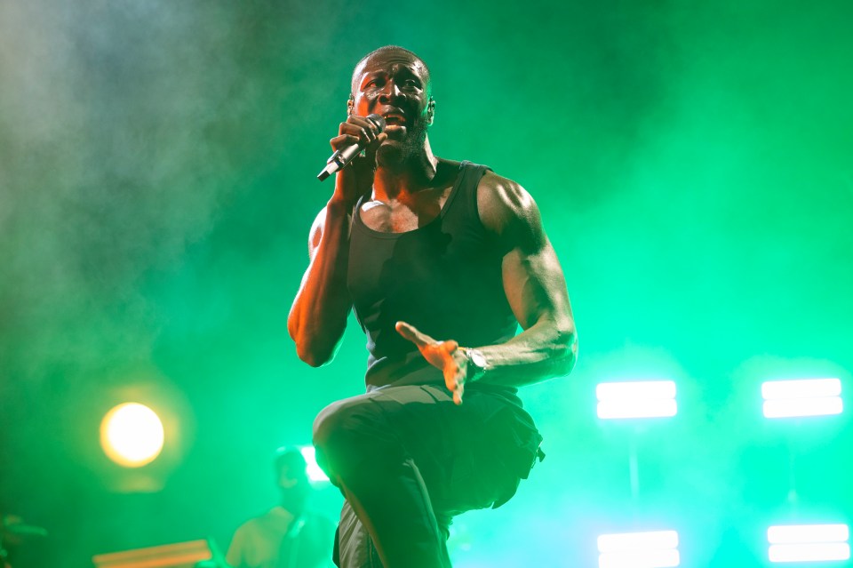 Stormzy had shot a music video which showed a monkey helping him prepare cannabis to use in a joint