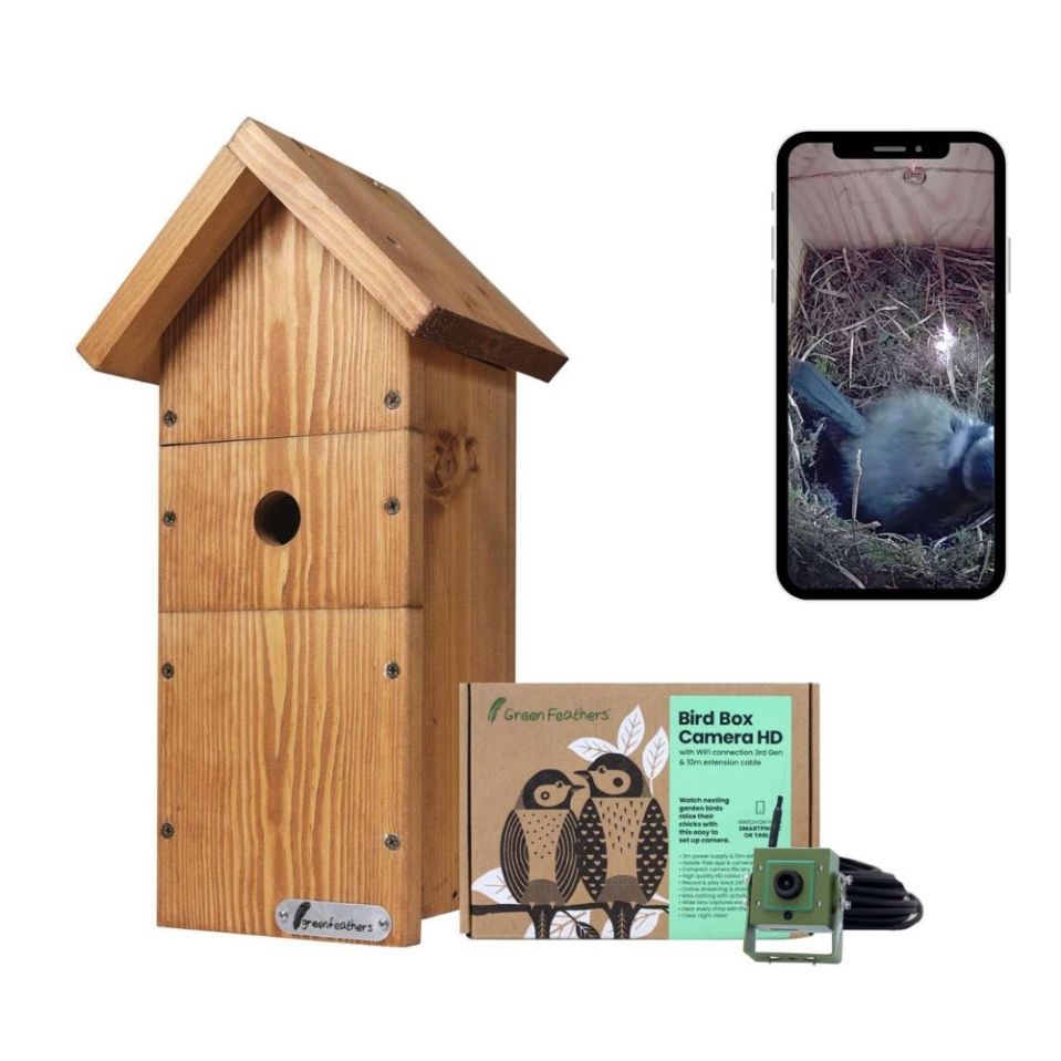 Find our what your feathered friends are up to with this amazing camera bundle