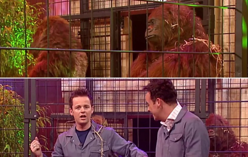 The pair were trapped in a cage with 'apes'