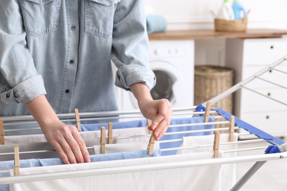 Some suggested putting the airer in the bath tub to save on space